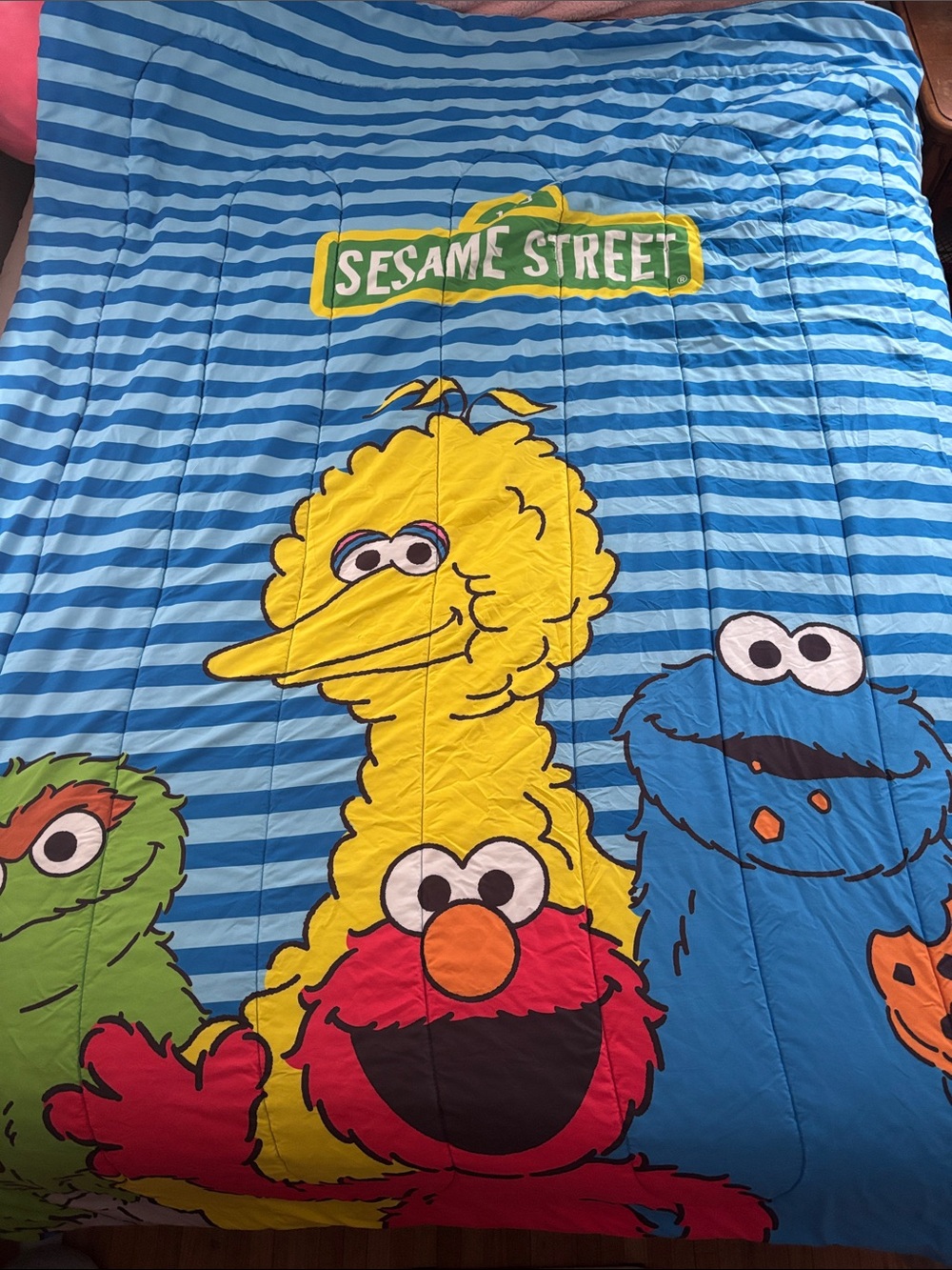 Sesame Street Kids Twin Bedding Comforter - Big Bird Elmo Oscar Cookie Monster
